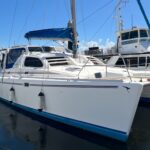 Leopard 38