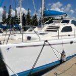 Leopard 38