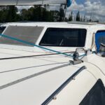 Leopard 38