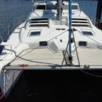 Leopard 38