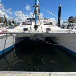 Leopard 38