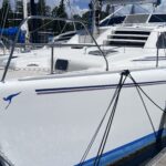Leopard 38