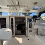 Leopard 38