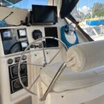 Leopard 38
