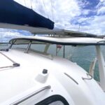 Leopard 40