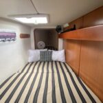 Leopard 40