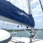 Leopard 40