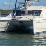 Leopard 39