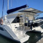 Leopard 39