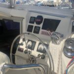 Leopard 39
