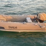 Neel 45 EVOlution