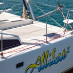 35. Lightwave 45 – AlliKat 2 TSYC–3