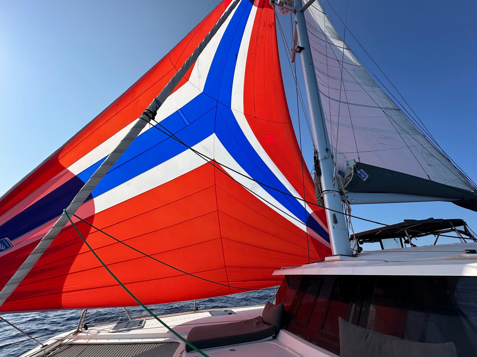 HUMMINGBIRD PHOTO 33