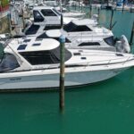 Sea Ray 350DA