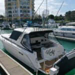 Sea Ray 350DA