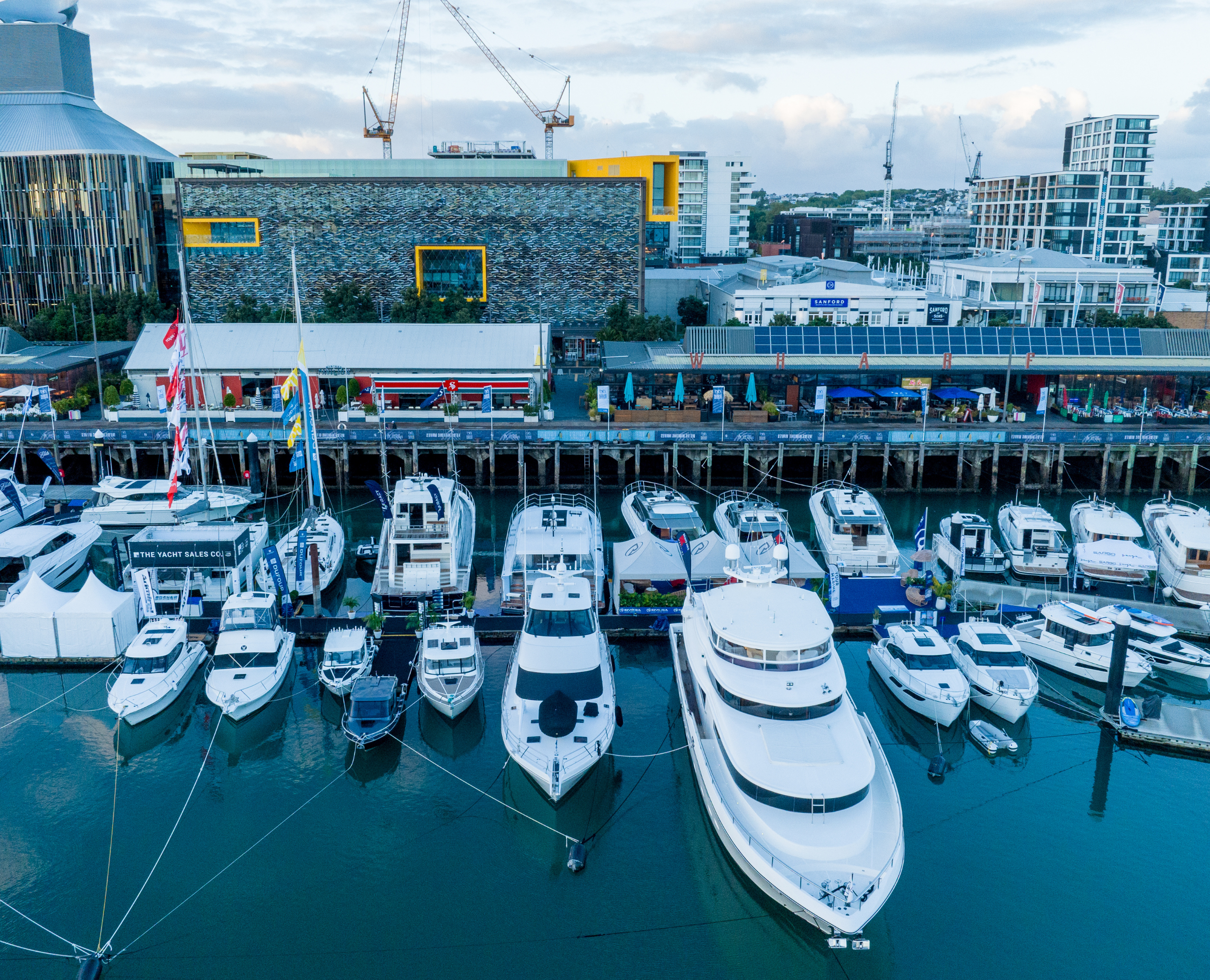 Untitled design (82)