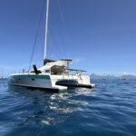 Ocean Rider Catamaran 42