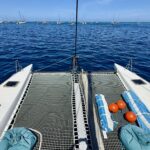 Ocean Rider Catamaran 42