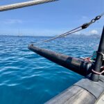 Ocean Rider Catamaran 42