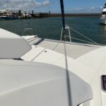 Leopard 384