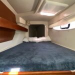 Leopard 384