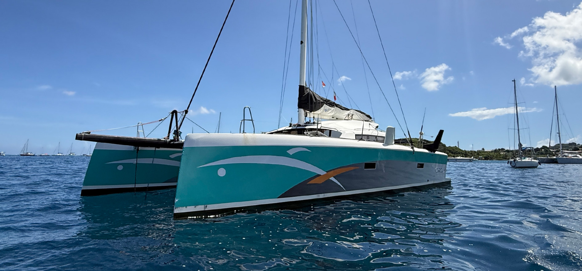 2014 Ocean Rider Catamaran 42 | Imagine