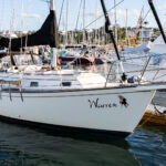 Island Packet 35