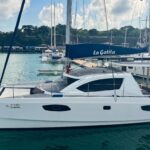 Leopard 384 catamaran