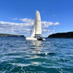 Schionning Line Honours 12m