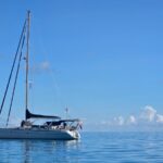 Alliage 44