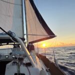 Alliage 44