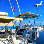 Southerly 49