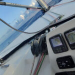 Leopard 44