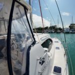 Leopard 44