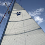 Leopard 44