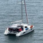 Leopard 44