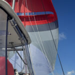 Leopard 44