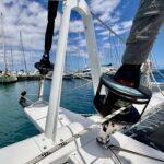 Seawind 1600