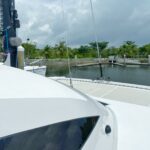 Stealth 11.8