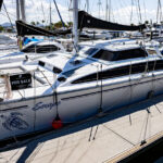 Perry 43