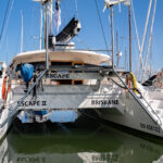 Perry 43